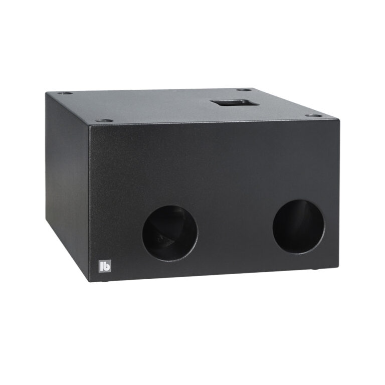 B 212 B kraftfull dubbel 12-tums subwoofer i svart finish.